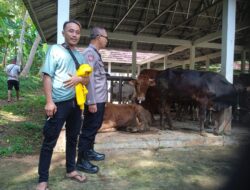 Cipta Kondisi, Polsek Rancah Datangi Warga di Pasar Hewan Sapi Jetak