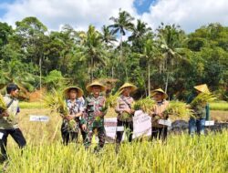 Polsek Rajadesa Polres Ciamis Monitoring Penutupan FFD ke Warga di Kecmaatan Rajadesa