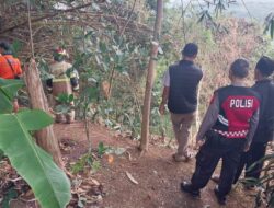 Polsek Cimaragas Polres Ciamis Datangi TKP Kebakaran Lahan Seluas 560 M² di Desa Cidolog