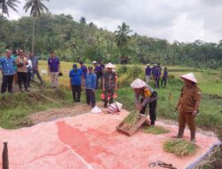 Polsek Cimaragas Polres Ciamis Monitoring Pertanian ke Warga di Kecmaatan Cidolog