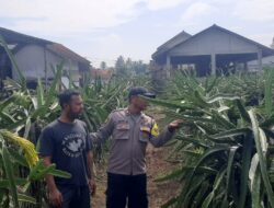 Dukung Asta Cita Presiden RI, Polsek Cikoneng Ajak Warga Buat Pekarangan Rumah Jadi Produktif
