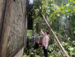 Personel Polsek Pamarican Datangi TKP Pohon Tumbang Menimpa Rumah di Cigamping