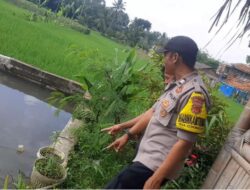 Dukung Asta Cita Presiden RI, Polsek Cikoneng Ajak Warga Buat Pekarangan Rumah Jadi Produktif