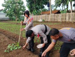 Polsek Kawali Gelar Program Ketahanan Pangan, Dukung Asta Cita Presiden Prabowo Subianto