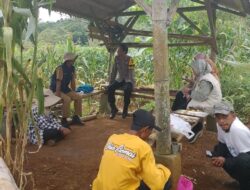 Bhabinkamtibmas Desa Ciomas Sambangi Kelompok Tani, Dorong Ketahanan Pangan dan Waspadai Ancaman Sosial