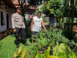 Dukung Asta Cita Presiden RI, Polsek Cikoneng Ajak Warga Buat Pekarangan Rumah Jadi Produktif
