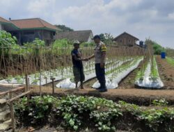 Dukung Asta Cita Presiden RI, Polsek Cikoneng Ajak Warga Buat Pekarangan Rumah Jadi Produktif
